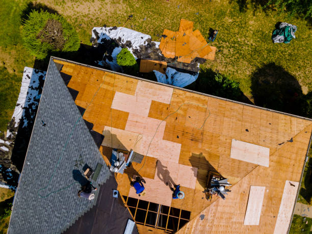 Best Commercial Roofing Services  in Brownsville, FL