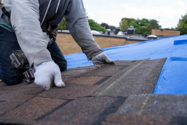 Best Residential Roofing Contractor  in Brownsville, FL