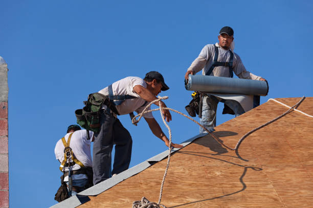 Best Roof Waterproofing Services  in Brownsville, FL